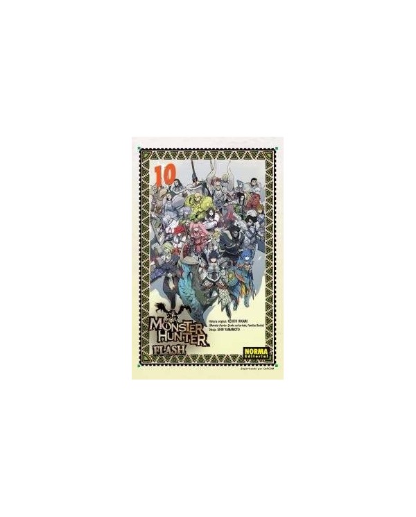 MONSTER HUNTER FLASH 10