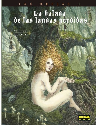 BALADA DE LAS LANDAS 9,LA CABEZA NEGRA