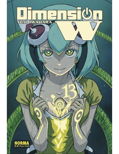 DIMENSION W 13