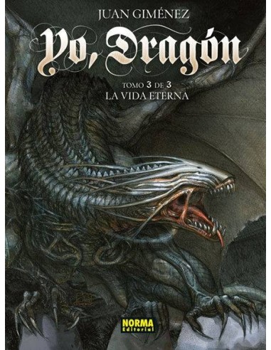 TWIN STAR EXORCISTS 13 TWIN STAR EXORCISTS 13