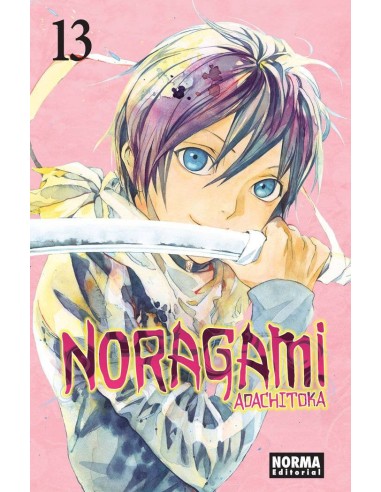 NORAGAMI 13
