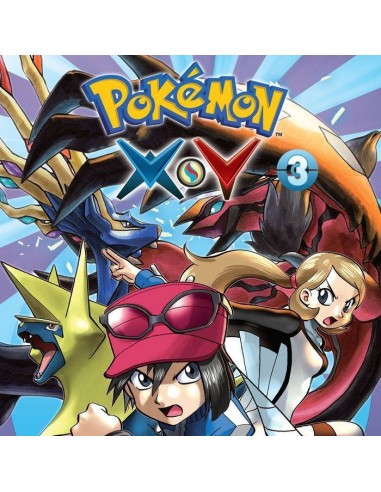 POKEMON X Y 3