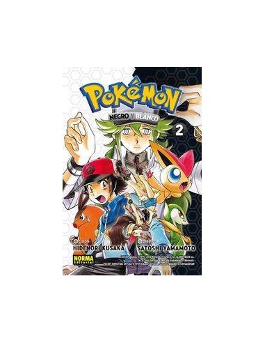 POKEMON 27 NEGRO Y BLANCO 2