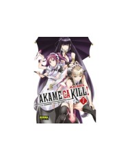 AKAME GA KILL ZERO 7