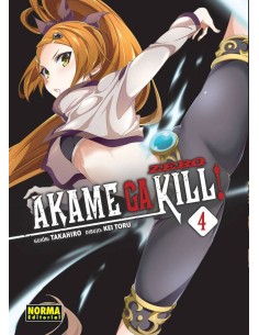 AKAME GA KILL ZERO 4