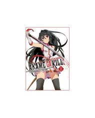 AKAME GA KILL ZERO N1