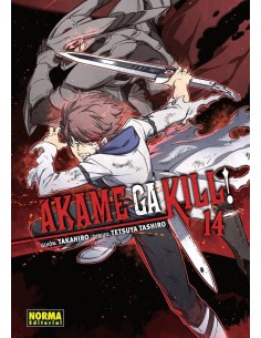 AKAME GA KILL 14