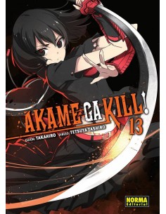 AKAME GA KILL 13