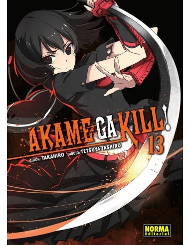 AKAME GA KILL 13