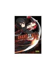 AKAME GA KILL 13