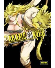 AKAME GA KILL 3