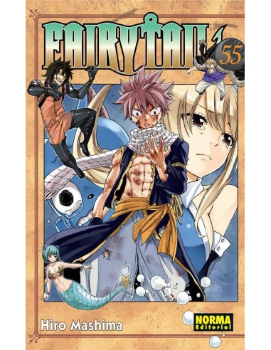 FAIRY TAIL 55