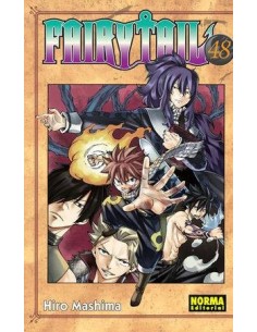 FAIRY TAIL 48