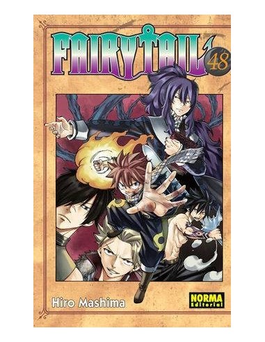 FAIRY TAIL 48