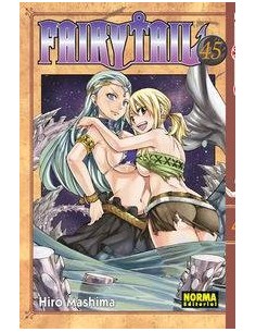 FAIRY TAIL 45