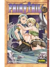 FAIRY TAIL 45