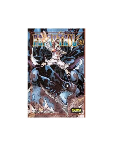 FAIRY TAIL 30