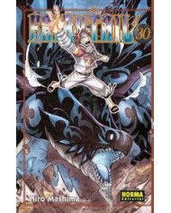 FAIRY TAIL 30