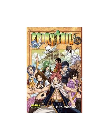 FAIRY TAIL 24