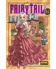 FAIRY TAIL 14