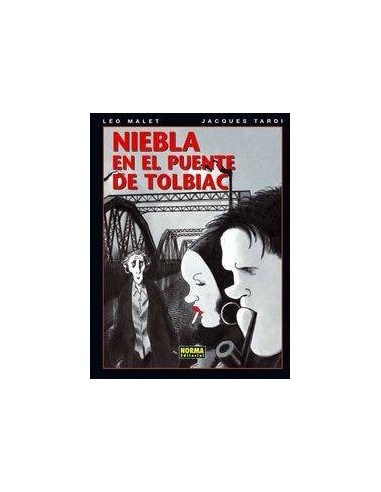 NIEBLA EN EL PUENTE DE TOLBIAC