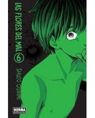 FLORES DEL MAL 6,LAS