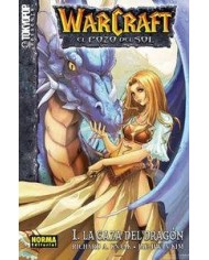 WARCRAFT. EL POZO DEL SOL 1. La caza del dragon (Richard A. Knaak y Jae-Hwan Kim)