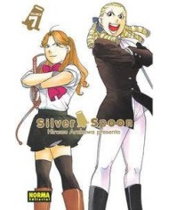 SILVER SPOON 7