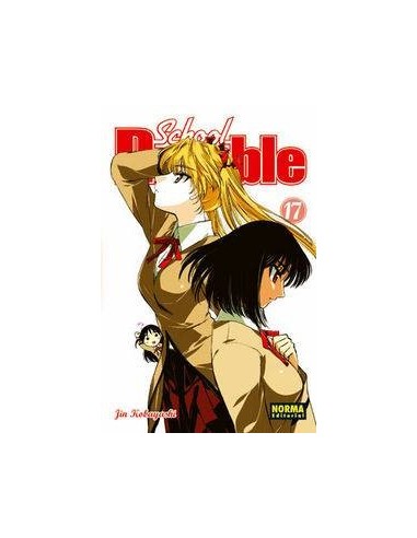 SCHOOL RUMBLE 17