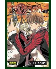 TSUBASA RESERVOIR CHRONICLE 14