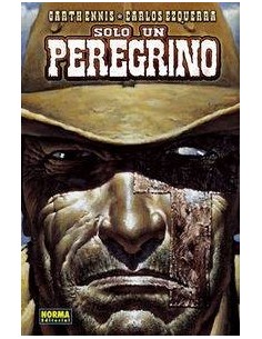 SOLO UN PEREGRINO