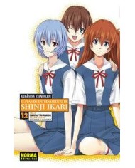 NEOGENESIS EVANGELION 12 EL PLAN DE ENTRENAMIENTO DE SHINJI
