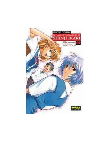 NEOGENESIS EVANGELION 1 PLAN ENTRENAMIENTO SHINJI IKARI
