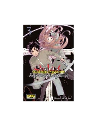 ACADEMIA NEOGENESIS EVANGELION APOCALIPSIS 3