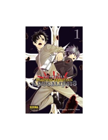 ACADEMIA NEOGENESIS EVANGELION APOCALIPSIS 1 ACADEMIA NEOGENESIS EVANGELION APOCALIPSIS 1