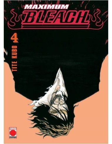 BLEACH MAXIMUM 04