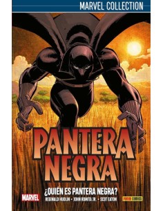 PANTERA NEGRA DE HUDLIN 1: ¿QUIEN ES PANTERA NEGRA? PANTERA NEGRA DE HUDLIN 1: ¿QUIEN ES PANTERA NEGRA?