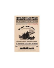 AGENCIA DE DETECTIVES BLACK DIAMOND,LA