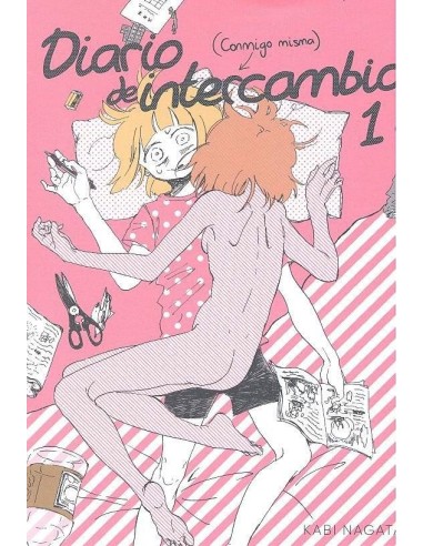 DIARIO DE INTERCAMBIO 01