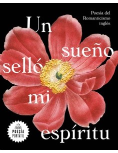 UN SUEÑO SELLO MI ESPIRITU