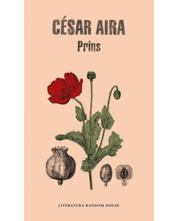 PRINS