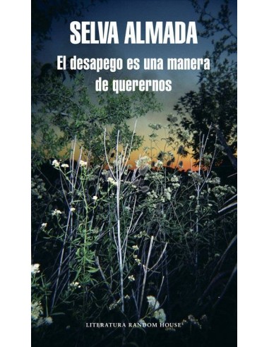 DESAPEGO ES UNA MANERA DE QUERERNOS (MAPA DE LAS LENGUAS),EL