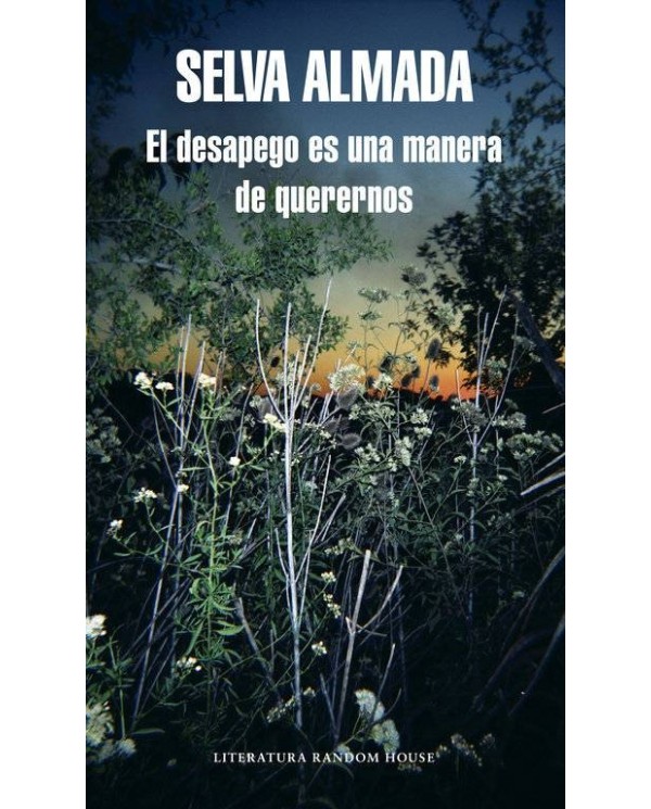DESAPEGO ES UNA MANERA DE QUERERNOS (MAPA DE LAS LENGUAS),EL