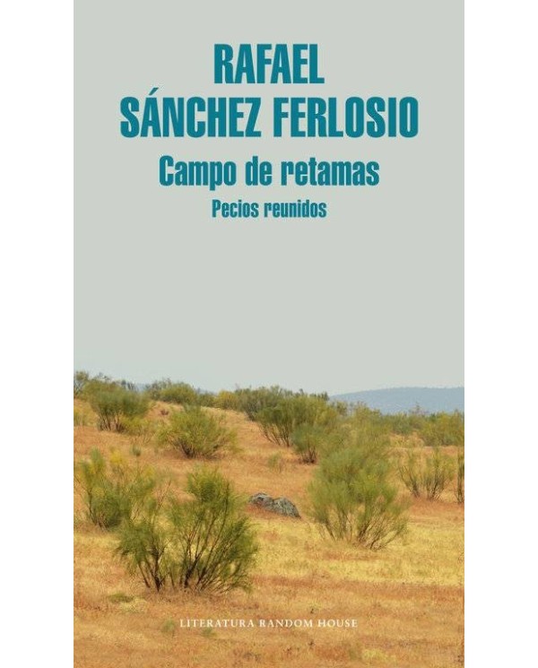 CAMPO DE RETAMAS