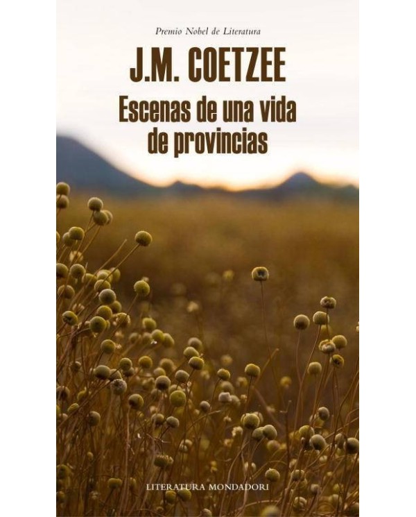 ESCENAS DE UNA VIDA DE PROVINCIAS