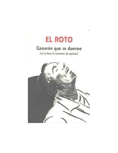 EL ROTO. CAMARON QUE SE DUERME