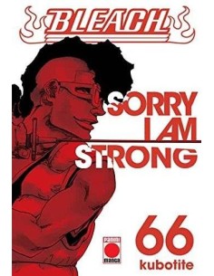 BLEACH 66 (COMIC)