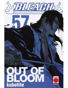 BLEACH 57 (COMIC)