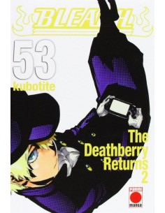 BLEACH 53 (COMIC)