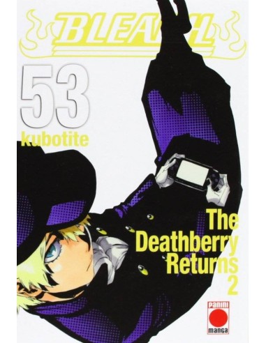 BLEACH 53 (COMIC)